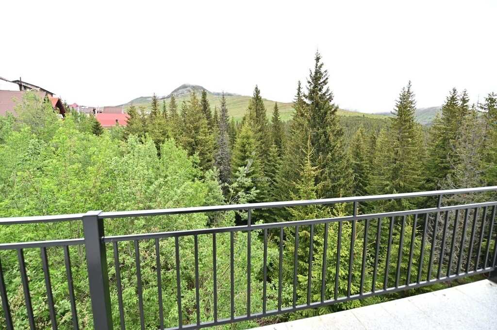 Balconul de la etaj, deschis spre pădurea de brazi și munte