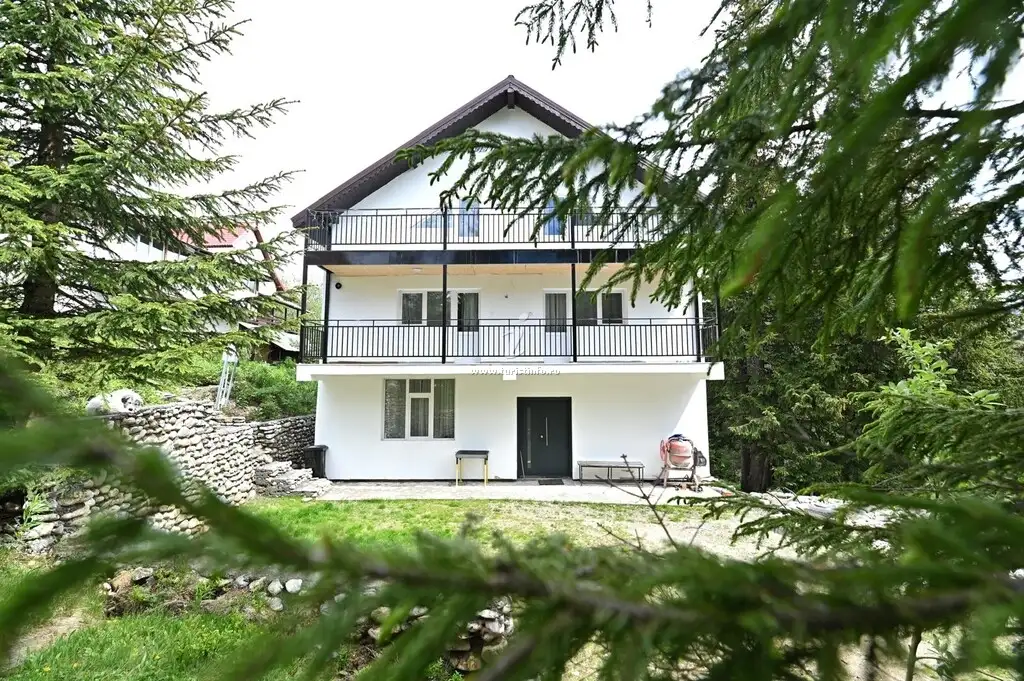 Cabana la Costel, albă, cu balcoane pe două niveluri, văzută printre crengi de brad