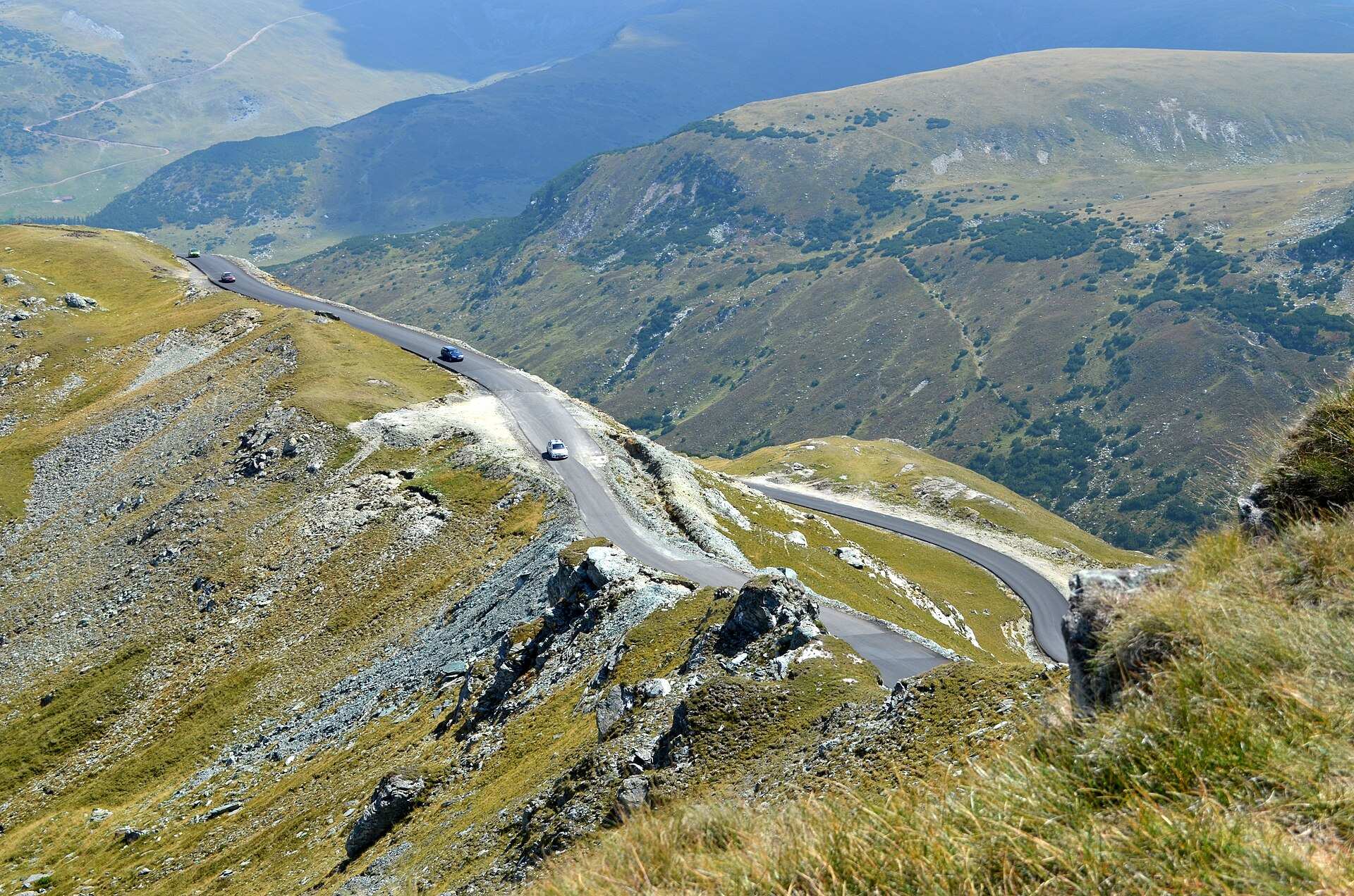 Serpentinele Transalpinei coborând pe o creastă înierbată